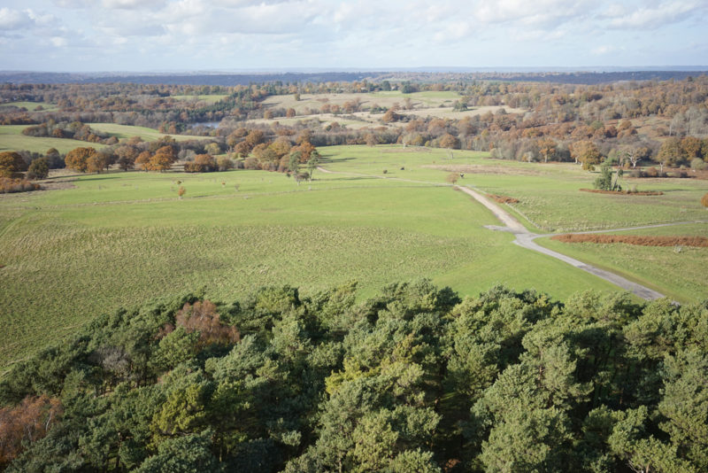 Drone Survey of Parkland