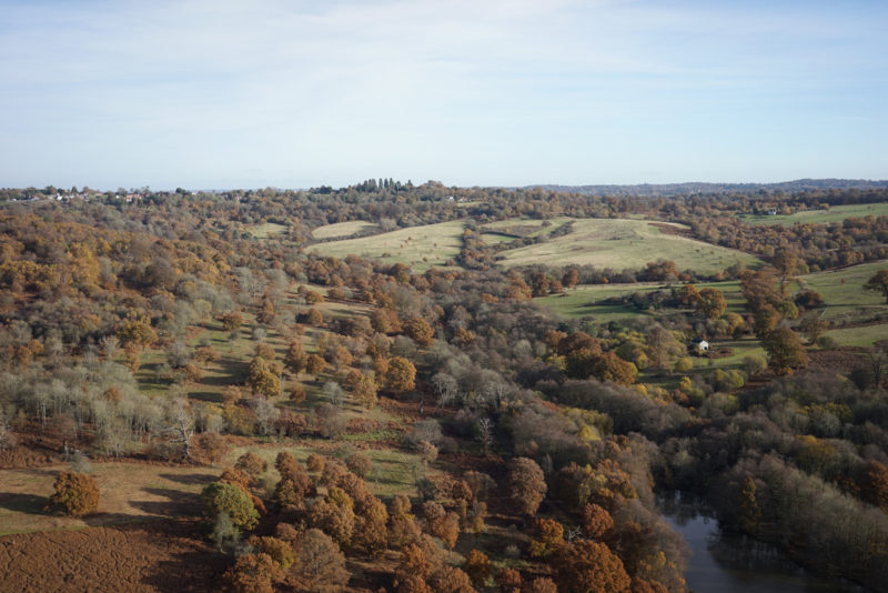 Drone Survey of Parkland